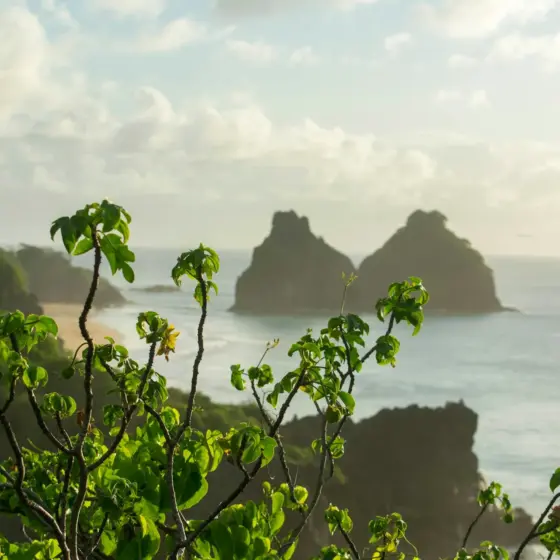 Quanto custa uma passagem para Fernando de Noronha