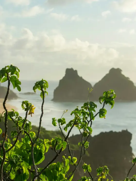 Quanto custa uma passagem para Fernando de Noronha