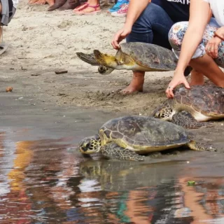 As 14 Melhores Pousadas em Itamambuca, Ubatuba