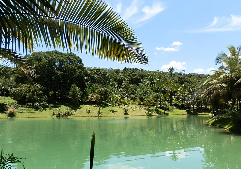 Instituto Inhotim