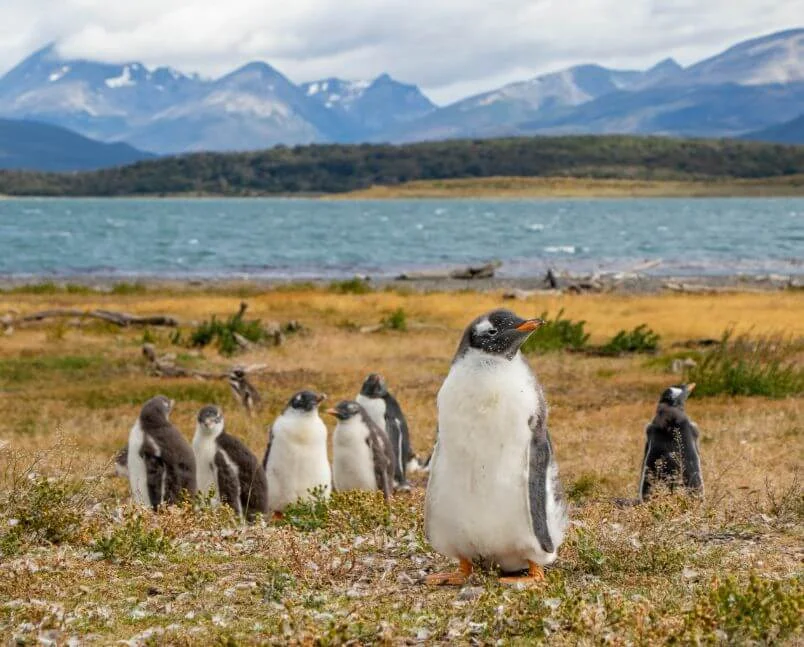 Ushuaia, Argentina - lugares para viajar em agosto no exterior